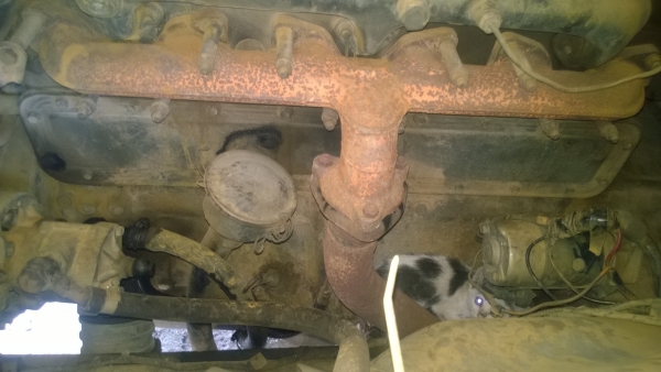 ISUZU  รถดั้ม