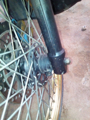 นูโวอิลิแกนปี 52