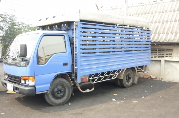 ขายรถ ISUZU 6 ล้อ กระบะ สแตนเลส 500000 ขายรถ ISUZU 6 ล้อ กระบะ สแตนเลส 500000