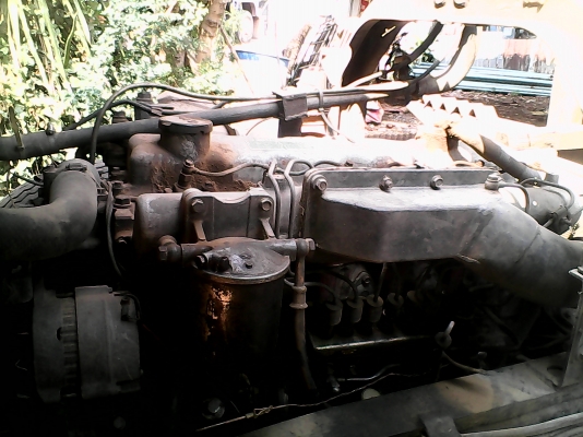 ขายisuzu jumbo วางหัวนางฟ้า ขายisuzu jumbo วางหัวนางฟ้า