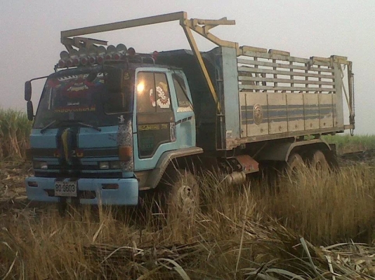 ขายisuzu jumbo วางหัวนางฟ้า ขายisuzu jumbo วางหัวนางฟ้า