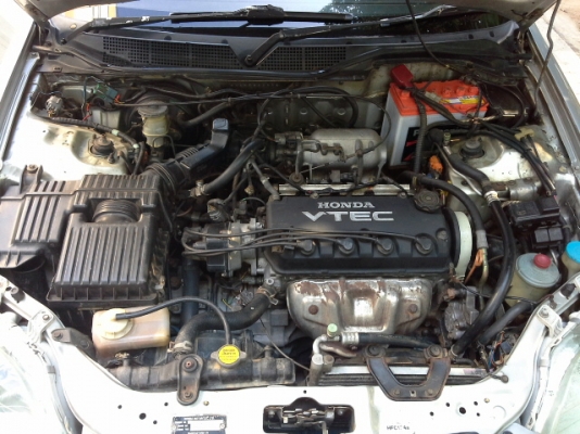 ขายซีวิคตาโต