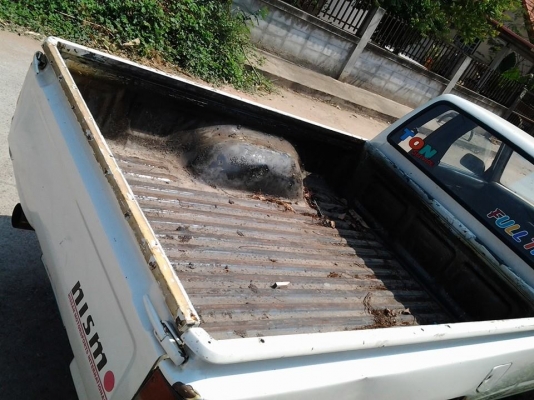 ขาย กะบะ ไมตี๊ x tracab ปี91 วางเครื่องนิสสัน z18 เทอร์โบ ซิ่งๆ วื่งทั่วไทย