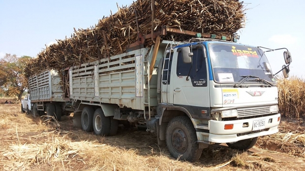 **1,320,000 บ.ต่อรอง**ขาย10ล้อ2เพลาดั้ม(แม่เดี่ยว) HINO FM3MNLD M10C 240HP เครื่องเดิมเกียร์เดิม M10C 240แรง เครื่องแน่นแรงดี ช่วงล่างเดิมคัสซีสวยไม่ปะไม่ดามไม่มีบวม กระบะดั้มเหล็ก10ตันสภาพดี พื้นดีข้างดีไม่ผุ หัวเก๋งเดิมๆ ภายในสวยคอนโซลครบ แอร์ พ.พาวเวอร