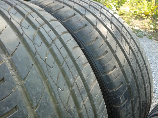 ขายยางขอบ 20'' งามๆดอกเต็มๆ