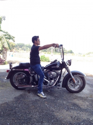 Harley davidson