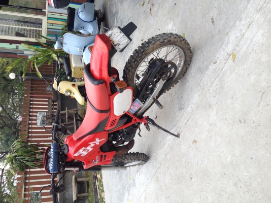 ขาย Honda MTX