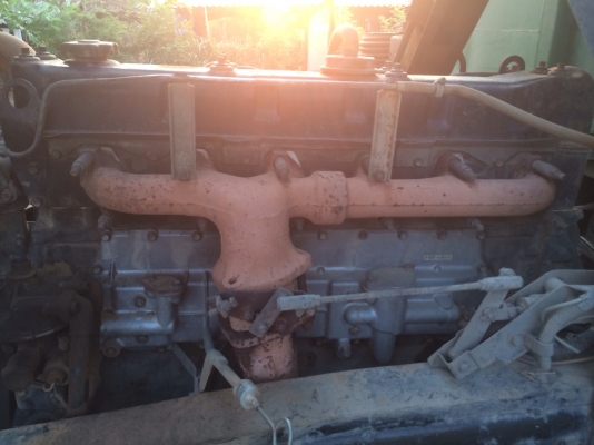 ร็อกกี้240ครับ แม่ลูก 1280000ครับ ร็อกกี้240ครับ แม่ลูก 1280000ครับ