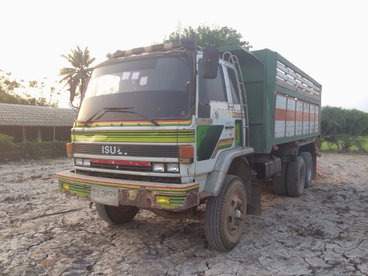 ร็อกกี้240ครับ แม่ลูก 1280000ครับ ร็อกกี้240ครับ แม่ลูก 1280000ครับ