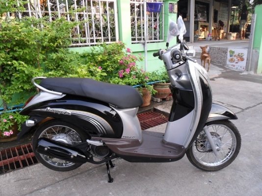 ----> ฮอนด้า สกูปปี้ไอปี54 เครื่องดีเดิมๆเฟืองไม่หอนสภาพสวยๆวิ่งน้อย ----> ฮอนด้า สกูปปี้ไอปี54 เครื่องดีเดิมๆเฟืองไม่หอนสภาพสวยๆวิ่งน้อย