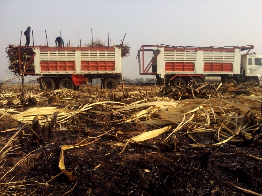 ขายรถพ่วงอีซูสุ320หัวนอก