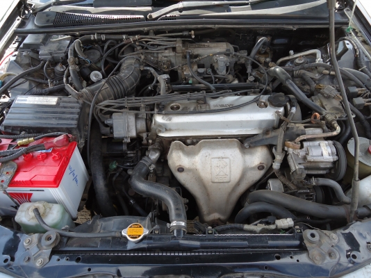 ต้องการขายHonda accord ปี 92