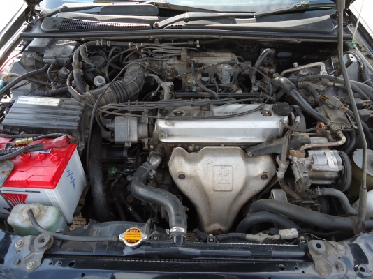 ต้องการขายHonda accord ปี 92