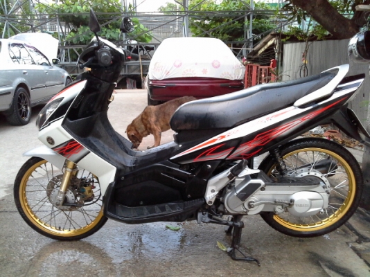 ขายนูโวmx