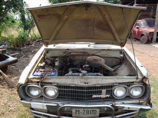 datsun ช้างเหยียบ หายาก