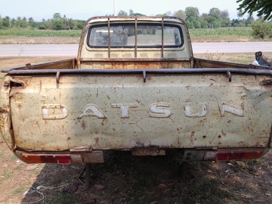 datsun ช้างเหยียบ หายาก