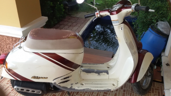 ขายป๊อบHonda giorno เชียงกงแท้ๆรถใช้งานได้ปกติเอาไปทำสีเองนะคร๊าบ