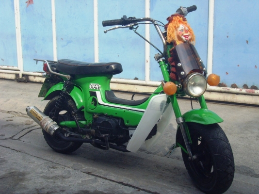 ขาย ชาลี แต่งแนวยุ่น เครื่องดรีม  ทะเบียน  ราคา13900