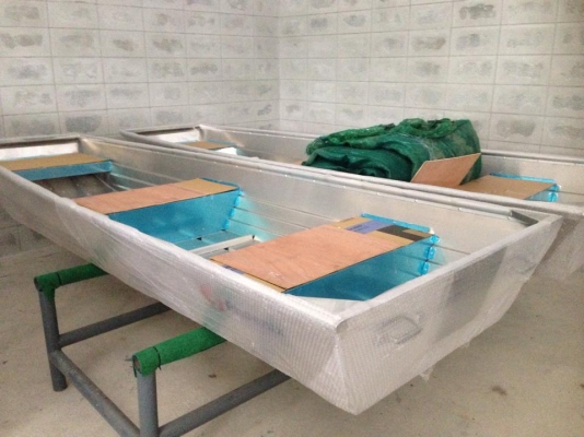 เรืออลูPhoenixท้องแบน 12ฟุต ราคาพิเศษ