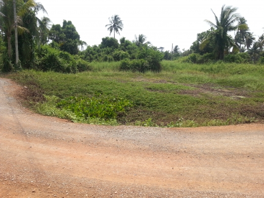 ขายที่ดินสวยๆติดเเม่น้ำนครชัยศรี 12ล้าน