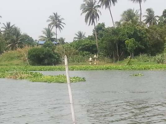 ขายที่ดินสวยๆติดเเม่น้ำนครชัยศรี 12ล้าน ขายที่ดินสวยๆติดเเม่น้ำนครชัยศรี 12ล้าน