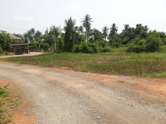 ขายที่ดินสวยๆติดเเม่น้ำนครชัยศรี 12ล้าน ขายที่ดินสวยๆติดเเม่น้ำนครชัยศรี 12ล้าน