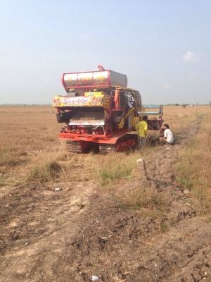 ขายไอ้หนุ่มจำโบ้โทร0821611405 ขายไอ้หนุ่มจำโบ้โทร0821611405