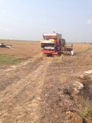 ขายไอ้หนุ่มจำโบ้โทร0821611405