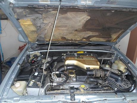 dragon eye dragon eye