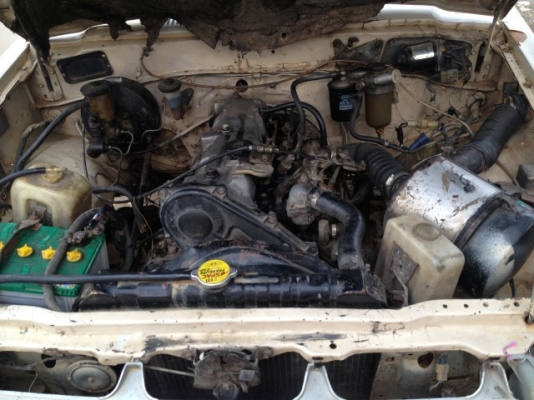 ขายม้ากระโดดln30ช่วงสั้นดีเซลทะเบียนโอน