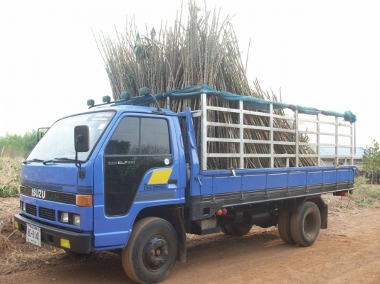 รถบรรทุกสภาพสวย   NPR   พร้อมใช้งาน รถใช้เองครับ  ขายด่วน