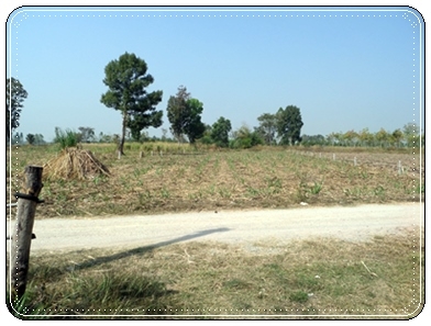 ที่ดินราคาถูก 2 ไร่ ราคา 400,000 บาท