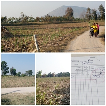 ที่ดินราคาถูก 2 ไร่ ราคา 400,000 บาท