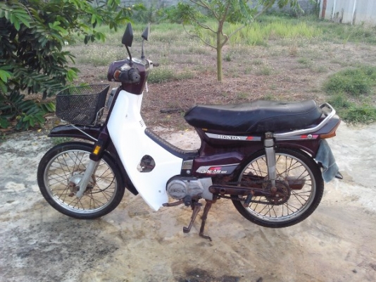 ขายดรีมคุรุ น้ำตาล ทะเบียนโอน ราคาไม่แพง