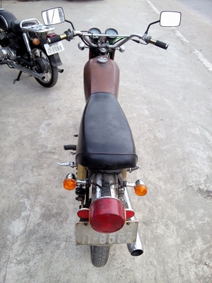 YAMAHA แมวป่า YAMAHA แมวป่า