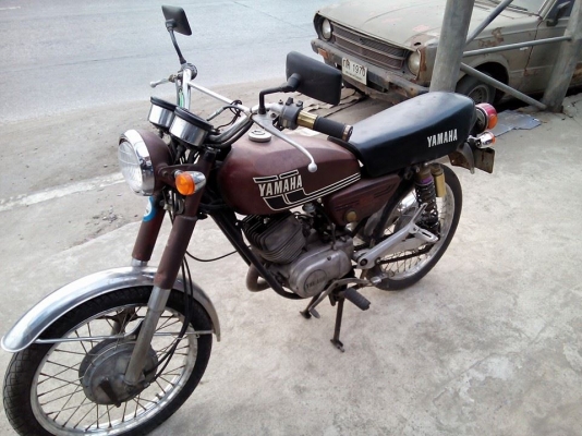 YAMAHA แมวป่า