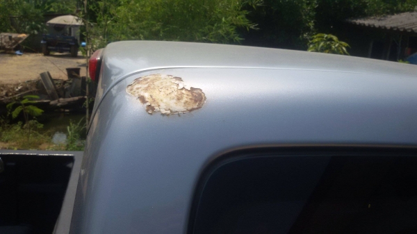 Isuzu d max รถบ้านทือเดียวเข้าศูนย์ตามเวลา