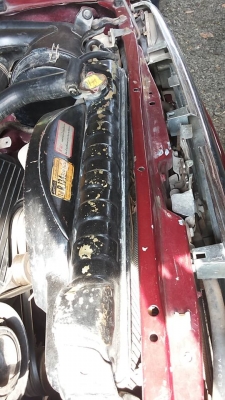 ***ขายแล้วครับขอบคุณ Truck2hand ขายกระบะแค็ป ไมตี้ 2.5 โป่งหลังแท้ปี39/96 เครื่องเดิมเกียร์ แน่นดี แรง ช่วงล่างคัสซีดีไม่ปะไม่ดาม พื้นปูกระบะ ภายในเก๋งสวยคอนโซลครบ แอร์ พ.ธรรมดา ล้อแม็ก ยางดี4เส้น รถเคลียร์สี สีสันสวย พร้อมใช้งาน เอกสารครบ ราคาต่อรองได้เด