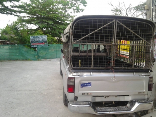 ขาย Hilux Tiger D4D