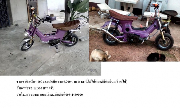 ลดสวดๆ ขาย ชาลี เครื่อง 100 cc. ครัชมือ ลดๆขาย 9,900 บาท สอบถามได้