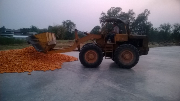 ขาย jh-30 ราคาเบาๆ