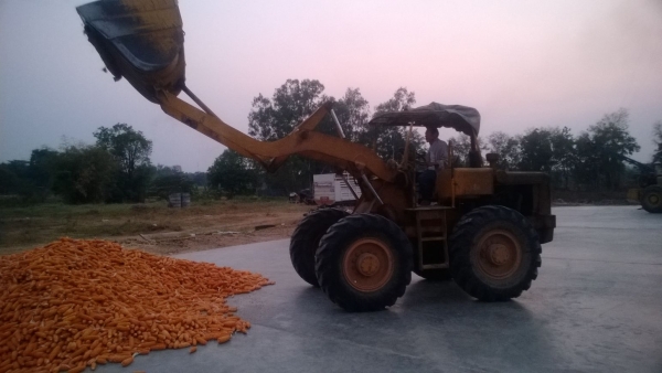 ขาย jh-30 ราคาเบาๆ