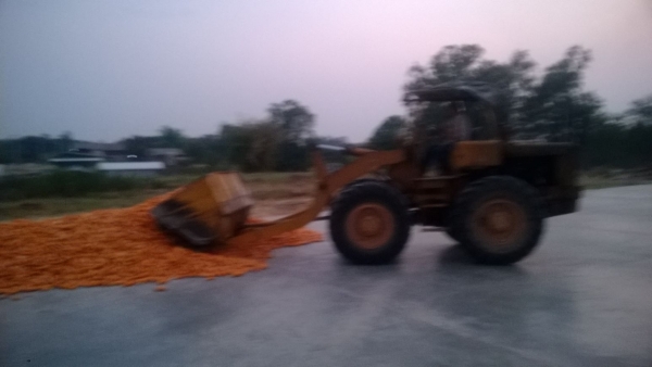 ขาย jh-30 ราคาเบาๆ