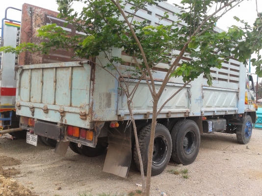 ต้องการขาย รถ 10 ล้อ ISUZU ร๊อกกี้ 175 แรง ( FVM12MY ) ไม่ดั้ม