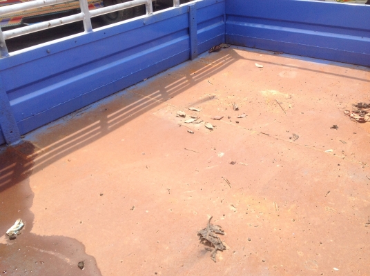 ขายNKR 88 แรงรถห้าง 6ล้อสั้น