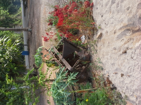 รถไถฟอค