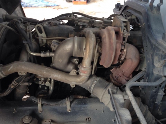 ขายดาวคับ