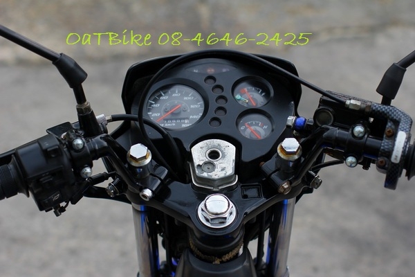 ขาย Sonic ตัวใหม่ สีน้ำเงิน สวยๆ ขาย Sonic ตัวใหม่ สีน้ำเงิน สวยๆ