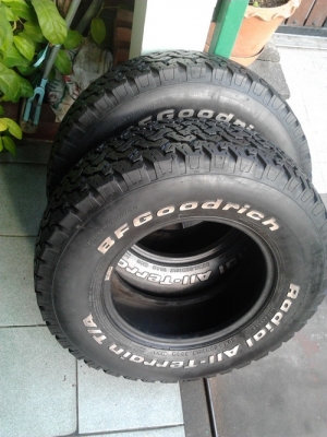 BF All 30/9.5/15 สวยๆ ดอก1cm. มี2เส้นๆละ1500