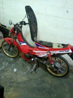 โนว่าสภาพดี ลูกvr พร้อมทะเบียน โนว่าสภาพดี ลูกvr พร้อมทะเบียน